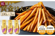 黄金けんぴ Y 100g × 3個セット