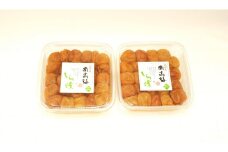 しら漬（訳あり）500g×2パック
