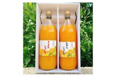 温州みかんジュース・清見ジュース各1000ml 2本セット