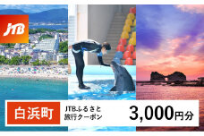 【白浜町、那智勝浦町、上富田町】JTBふるさと旅行クーポン（Eメール発行）（3,000円分）