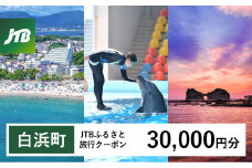【白浜町、那智勝浦町、上富田町】JTBふるさと旅行クーポン（Eメール発行）（30,000円分）