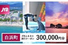 【白浜町、那智勝浦町、上富田町】JTBふるさと旅行クーポン（Eメール発行）（300,000円分）