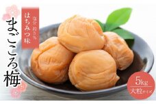 極上 紀州南高梅 はちみつ 梅干し 3L サイズ以上 合計 約5kg ( 約1kg × 5 )  塩分約5％ 化粧箱入り