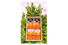 清見オレンジ ジュース 100％ 1000ml 2本セット