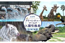 白浜町ふるさと納税 アドベンチャーワールド入園引換券 子どもチケット（18歳未満） 1枚