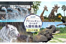 白浜町ふるさと納税 アドベンチャーワールド入園引換券 大人チケット（18歳上） 1枚