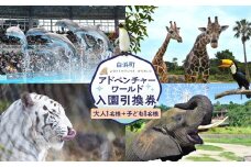 白浜町ふるさと納税 アドベンチャーワールド入園引換券 大人・子ども ペアチケット