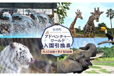 白浜町ふるさと納税 アドベンチャーワールド入園引換券 大人・子ども ペアチケット