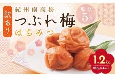 【定期便4回 2ヶ月に1回】紀州南高梅 訳あり はちみつ梅 塩分5％ 1.2kg（300g×4パック）