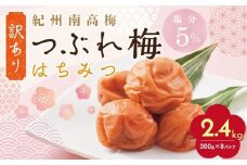【定期便2回 2ヶ月に1回】 紀州南高梅 訳あり はちみつ梅 塩分5％ 2.4kg（300g×8パック)