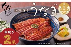 【定期便3回 毎月発送】〈うなぎ専門店やまのうち〉江戸焼き うなぎ 蒲焼き 2尾