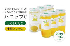 果実入り清涼飲料水 ハニップC2種類セット