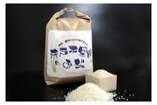 井戸本農園のお米　きぬむすめ８kg（４kg×２）