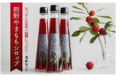 なつかしの果実たっぷり「熊野やまももシロップ」3本セット