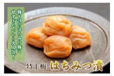 【紀州南高梅】はちみつ梅 (1kg×1箱）【Kn2】