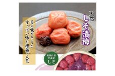 しそ漬梅 (1kg×1箱）【Kn4】