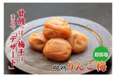りんご梅 (1kg×1箱）【Kn5】