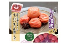 徳用　しそ漬梅 (1.5kg×1箱）【Kn9】