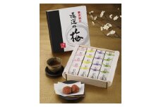 極選の梅　木箱　（1箱20粒入り）【Kn12】