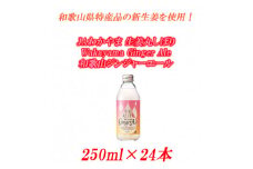 和歌山ジンジャーエール 250ml×24本JAわかやま 生姜丸しぼり Wakayama Ginger Ale　