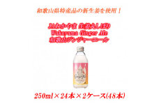 和歌山ジンジャーエール 250ml×24本×2ケース(48本入)JAわかやま 生姜丸しぼり Wakayama Ginger Ale　