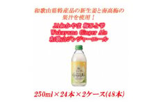 和歌山ジンジャーエール 250ml ×24本×2ケース(48本)JAわかやま 梅ひと雫 Wakayama Ginger Ale