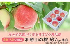 ［産直・人気の特産品］和歌山の桃　約2kg・秀選品★2025年6月下旬～8月中旬頃順次発送★［TM167］