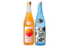 焼酎 黒潮波（くろしおなみ）720mlと紀州完熟南高梅「梅酒」720mlの2本セット【TM19】