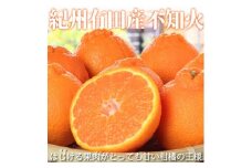 紀州有田産不知火(しらぬひ) 約５kg［2026年2月中旬以降発送］［先行予約］［UT40］