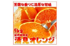 とにかくジューシー清見オレンジ　5kg［2026年3月下旬以降発送］［先行予約］［UT53］