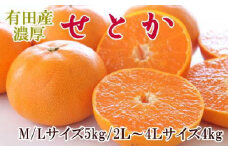 一度は食べていただきたい「有田産のせとか」約4～5kg（サイズおまかせ）★2026年2月中旬頃より順次発送［TM138］