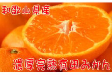 ※取扱終了※【先行予約】【2021年11月上旬～下旬発送】【数量限定】濃厚完熟有田みかん(ご家庭用) たっぷり６．５kg【北海道・沖縄配送不可】