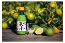 じゃばら果汁 360ml×2本　北山村産じゃばらを使用