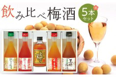 飲み比べ5本セット（白・赤・蜂蜜・黒糖・樽）紀州の梅酒［MG69］