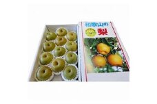 ◆先行予約◆和歌山県産 旬の梨 約4kg【2025年8月中旬以降出荷】［MG75］