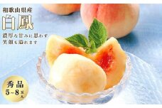 和歌山県産 白鳳 桃 5～8玉入り 秀品 先行予約［2025年6月下旬以降発送］［MG6］