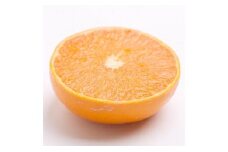 ［先行予約］家庭用 せとか5kg+250g（傷み補償分）［柑橘・春みかんの王様］［わけあり・訳あり］［光センサー選果・食べ頃出荷］［IKE63］