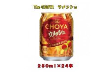 The CHOYAウメッシュ 250ml×１ケース（２４本）