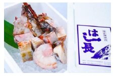 冷凍伊勢海老カット約1kg（サイズ不揃い）