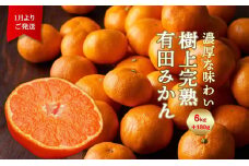 ＜1月発送＞ 樹上完熟 有田みかん 6kg＋180g（傷み補償分） 光センサー選果