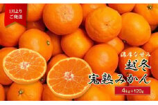 ＜1月中頃より発送＞ 厳選 越冬完熟みかん 4kg+120g（傷み補償分） ハウスみかん 光センサー選果