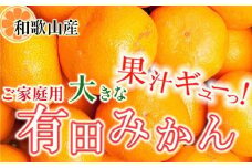 家庭用 大きな有田みかん10kg+250g（傷み補償分）［2025年11月中旬から2026年1月下旬頃順次発送予定］［IKE243］