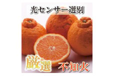 ＜2月より発送＞ 厳選 不知火 1.7kg+51g（傷み補償分） デコポンと同品種 人気の春みかん 光センサー選別 ［IKE48］