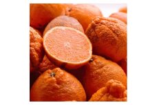 ＜2月より発送＞ 家庭用 不知火 2.5kg+75g（傷み補償分） デコポンと同品種 人気の春みかん 訳あり わけあり 光センサー選別 ［IKE220］