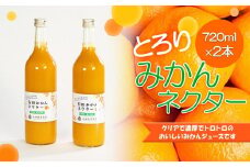 とろり　みかんネクター720ml×2本［IKE225］