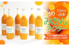 とろり　みかんネクター720ml×6本［IKE228］