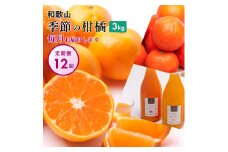 季節の柑橘3kg【和歌山有田】厳選 【毎月/全12回】フルーツ定期便・頒布会
