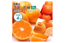 季節の柑橘3kg【和歌山有田】厳選 【3か月ごと/全4回】フルーツ定期便・頒布会