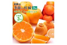 季節の柑橘3kg【和歌山有田】厳選 【4か月ごと/全3回】フルーツ定期便・頒布会