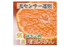 ★＜1月中頃より発送＞ 厳選 越冬完熟みかん 5kg+150g（傷み補償分） ハウスみかん 光センサー選果［IKE194］